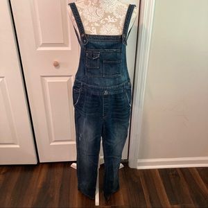 Free People Distressed Dark Denim Overalls